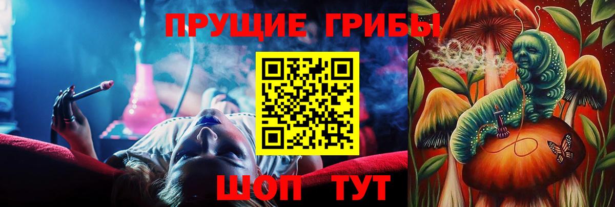 Галлюциногенные грибы Psilocybe Лесосибирск